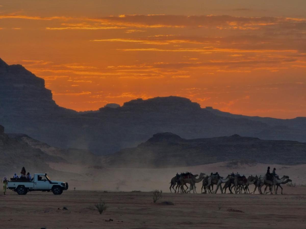 Desert Knights Camp Hotel Wadi Rum Exterior photo