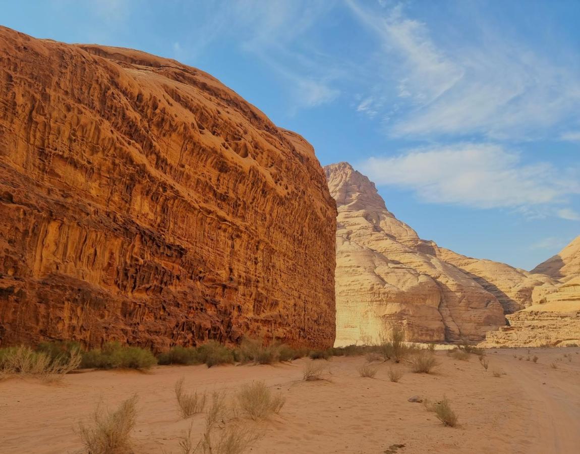 Desert Knights Camp Hotel Wadi Rum Exterior photo