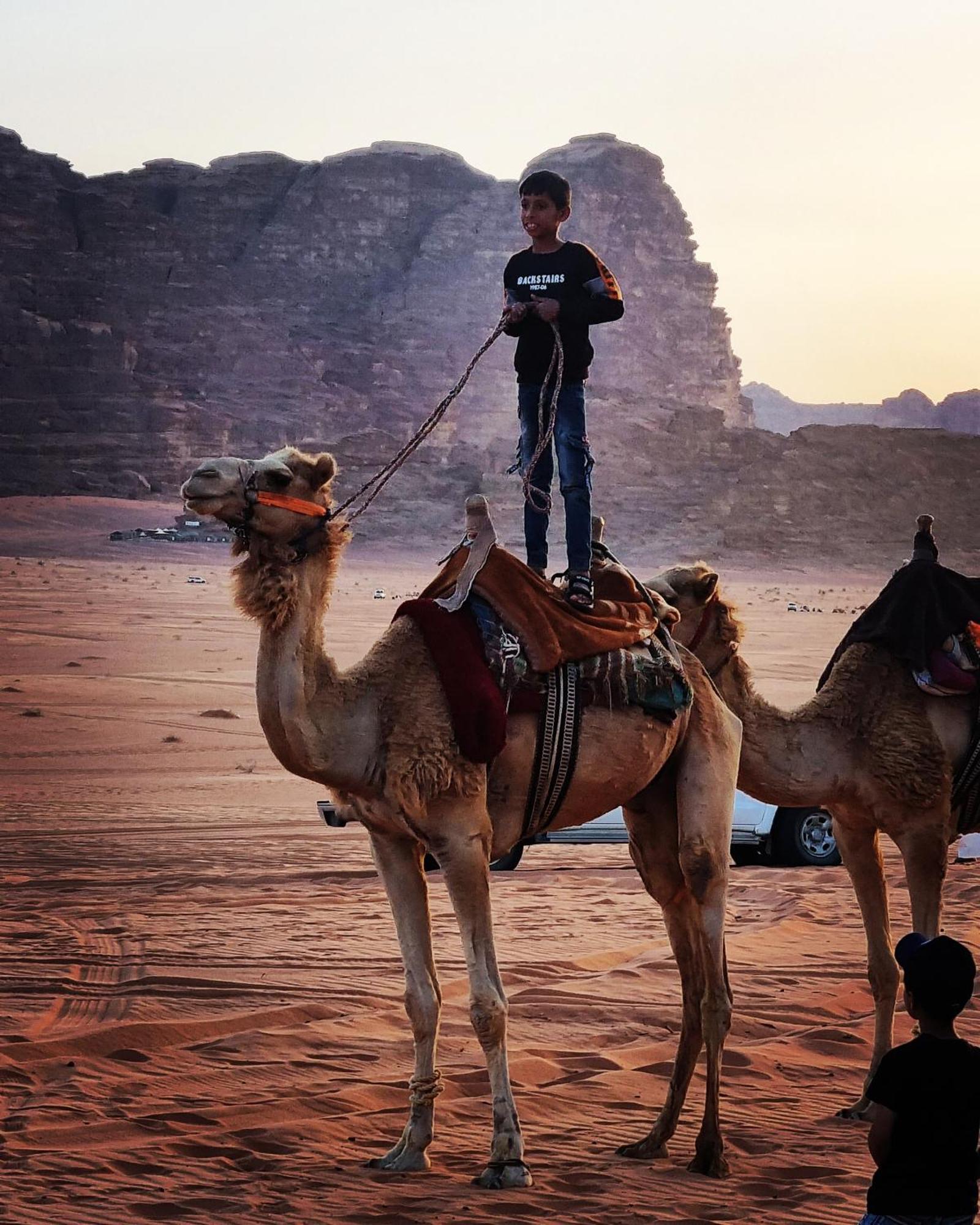 Desert Knights Camp Hotel Wadi Rum Exterior photo