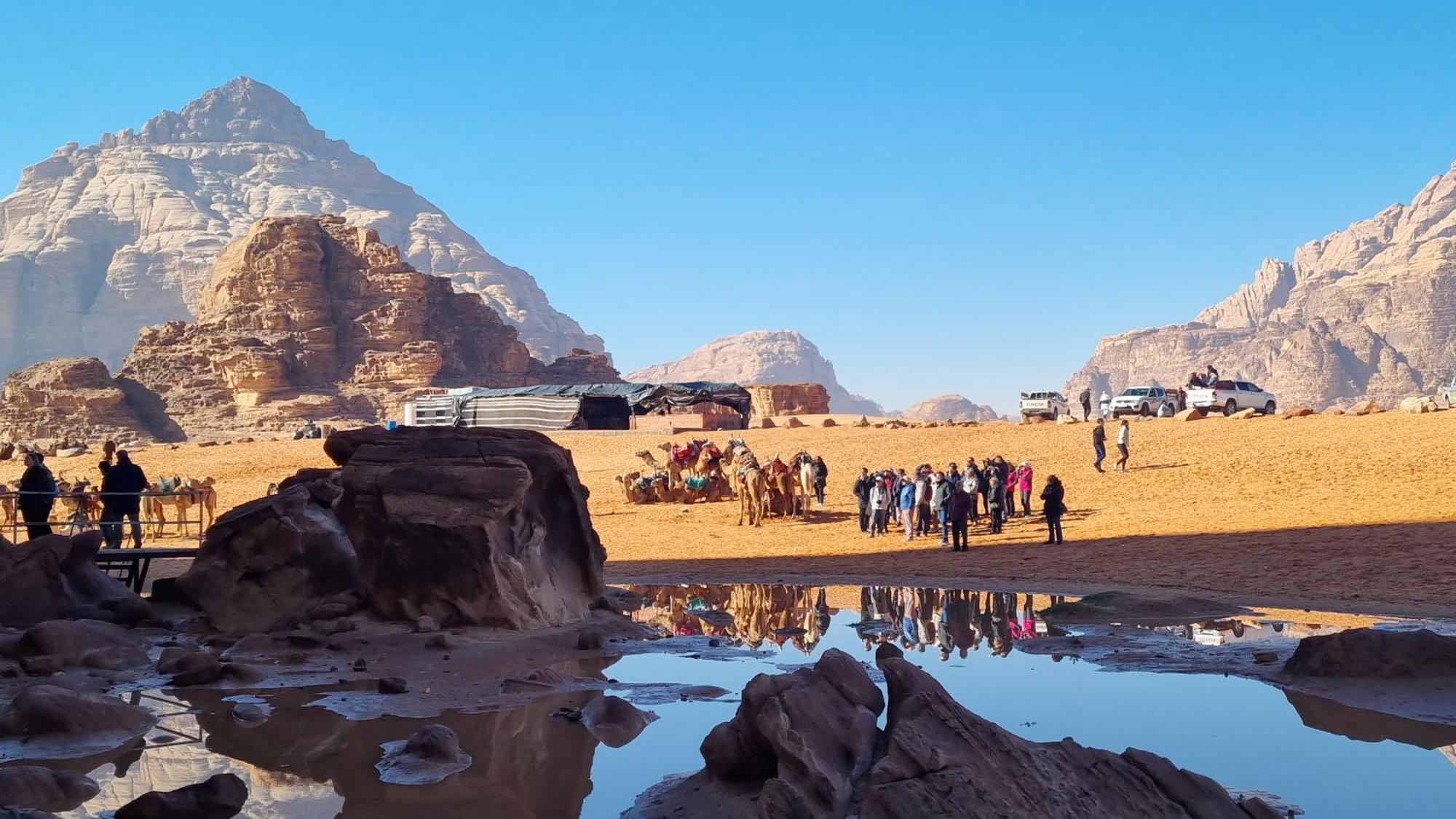 Desert Knights Camp Hotel Wadi Rum Exterior photo