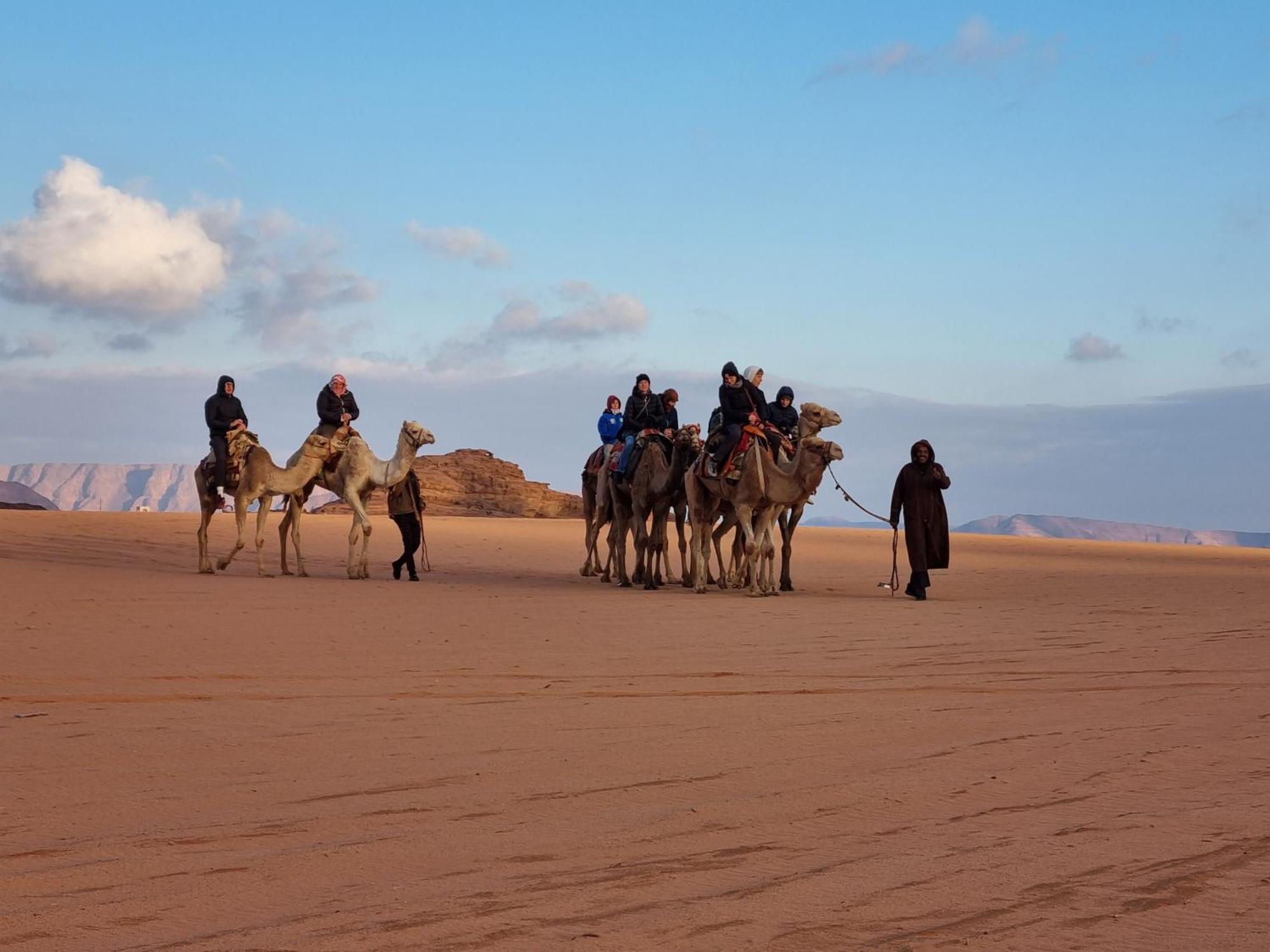 Desert Knights Camp Hotel Wadi Rum Exterior photo